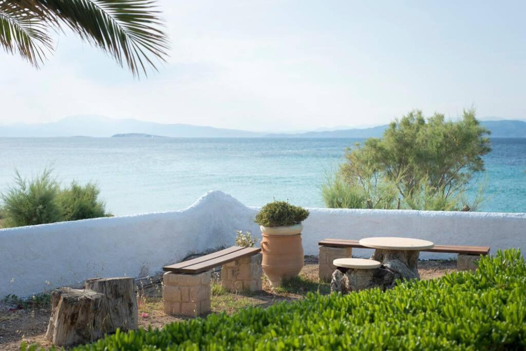 Vagia  Palmaya Villa, Unique Seafront Experience מראה חיצוני תמונה